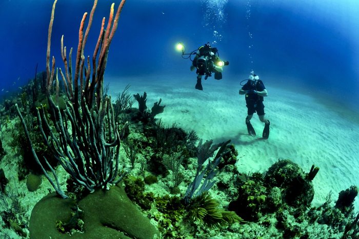 Scuba Diving in Dubai