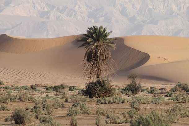 Jebel Hafeet Desert Safari