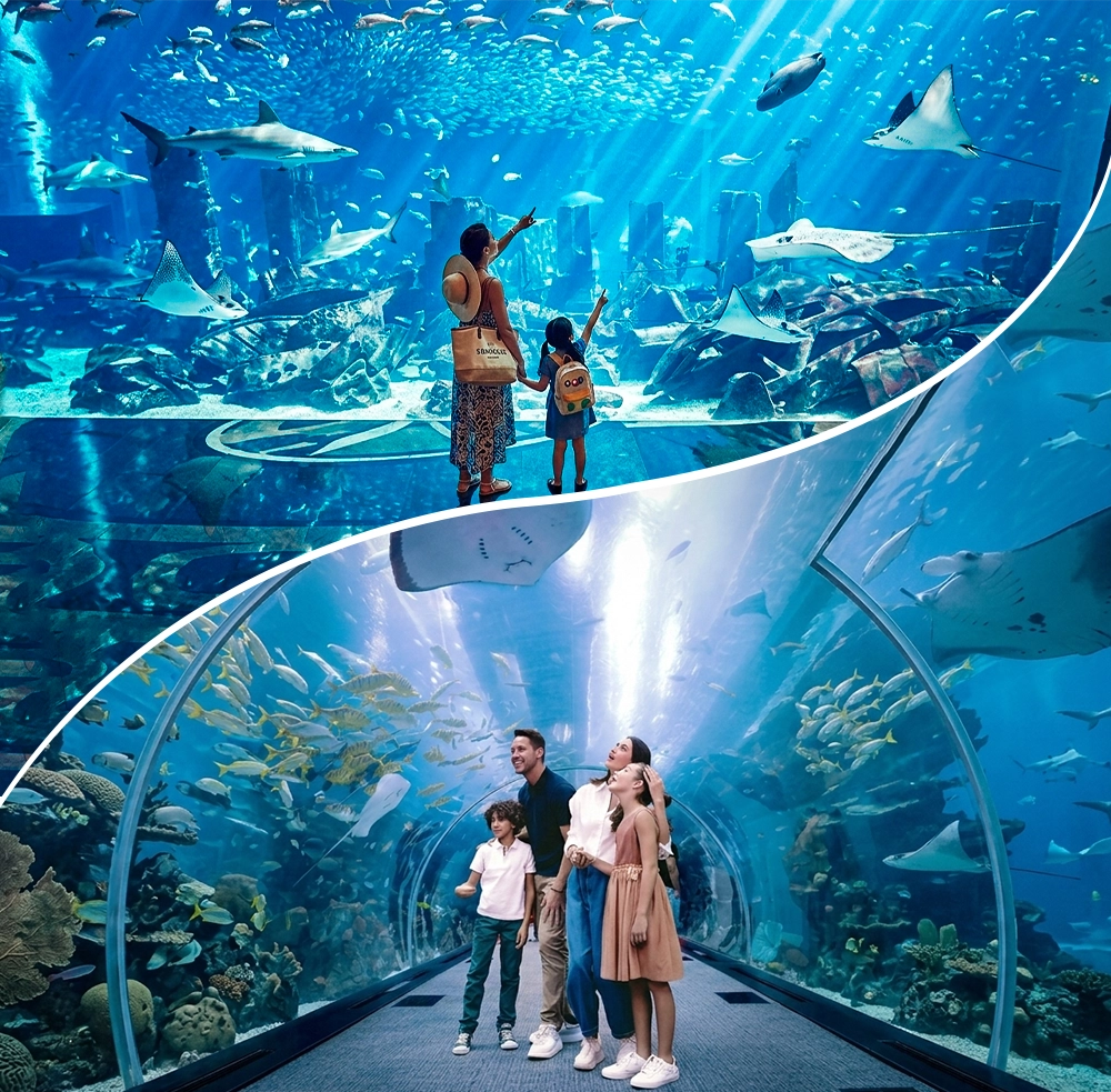 Dubai Aquarium & Underwater Zoo Tickets