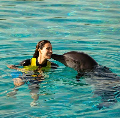 Dubai Dolphinarium Tickets