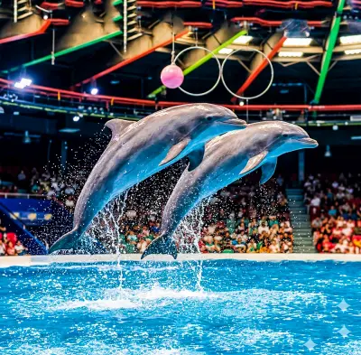Dubai Dolphinarium Tickets