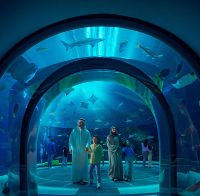 SeaWorld Abu Dhabi Tickets