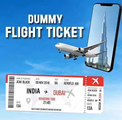 Dummy Flight Ticket