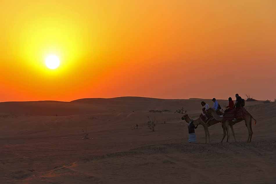 Evening Desert Safari