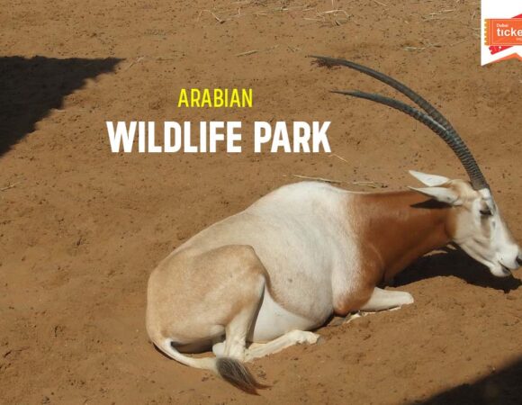 Arabian Wildlife Park