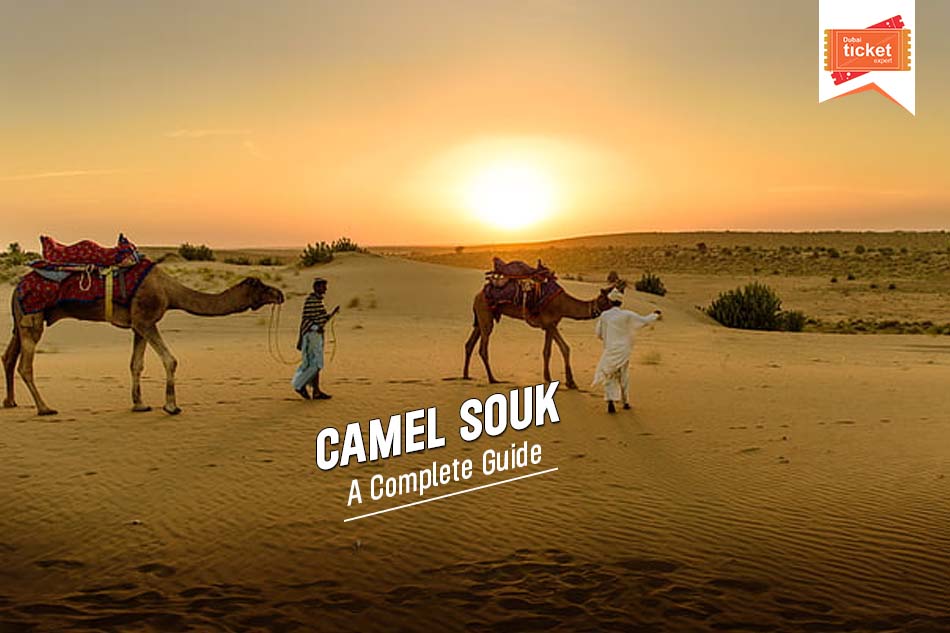 Al Ain Camel Market