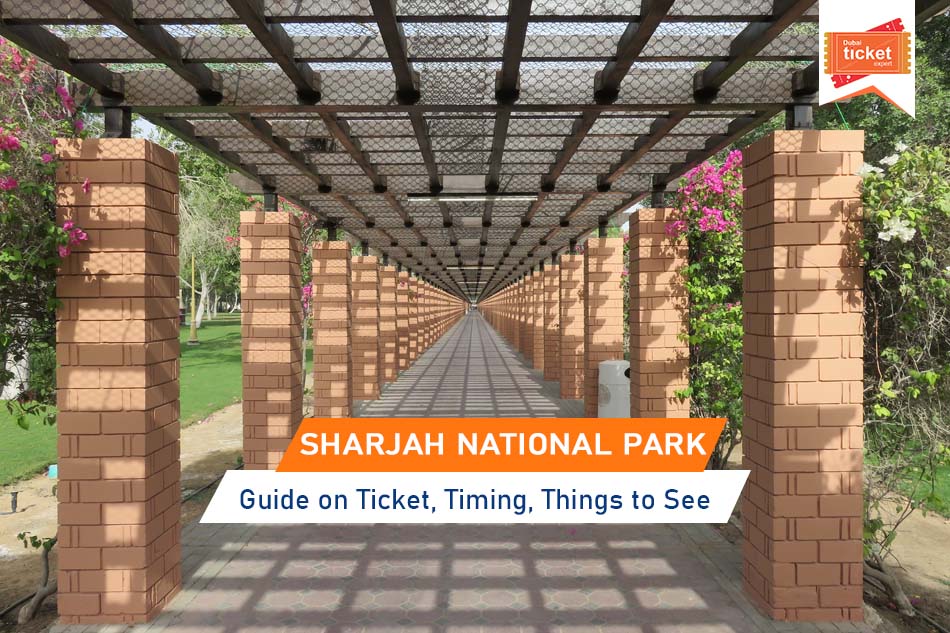 Guide to Sharjah National Park: Ticket, Timing, Things to See