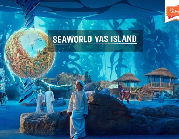 Full Guide to Seaworld Yas Island: Things to See & More