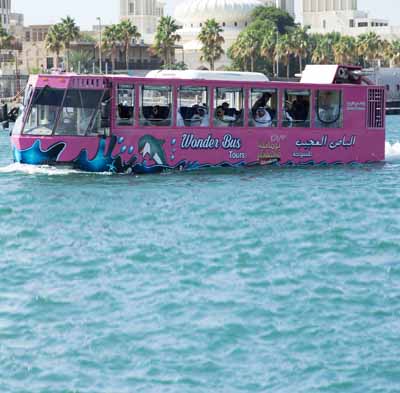 Wonder Bus Sea and Land Adventure Tour