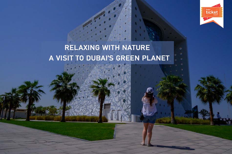 A Visit to Dubai’s Green Planet to Relaxing with Nature