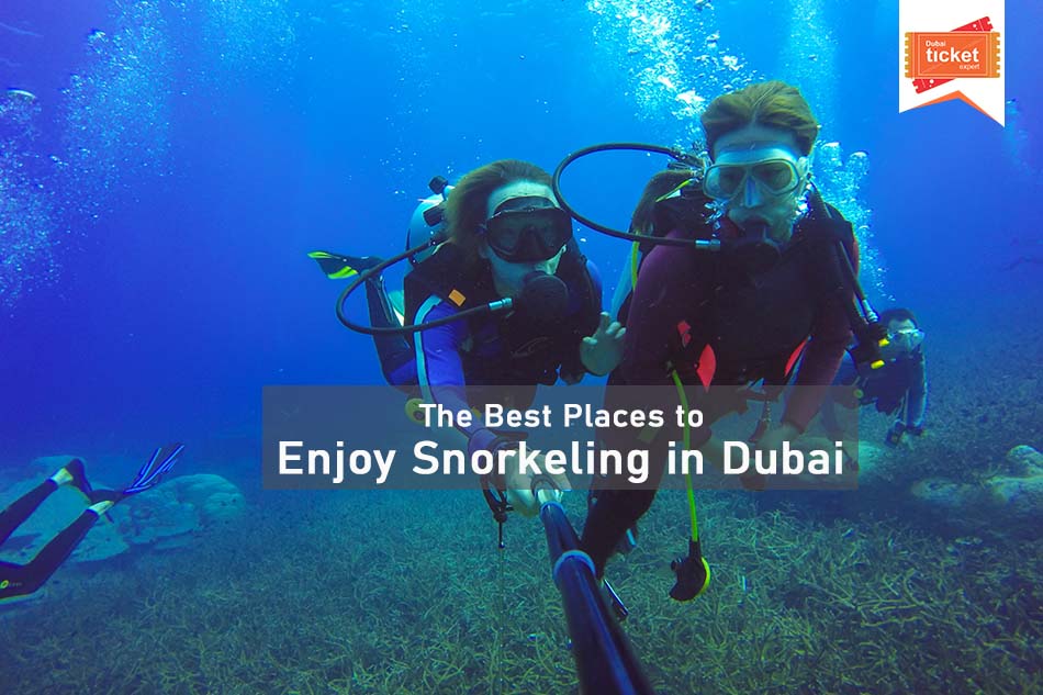 Top Places to Enjoy Snorkeling in Dubai