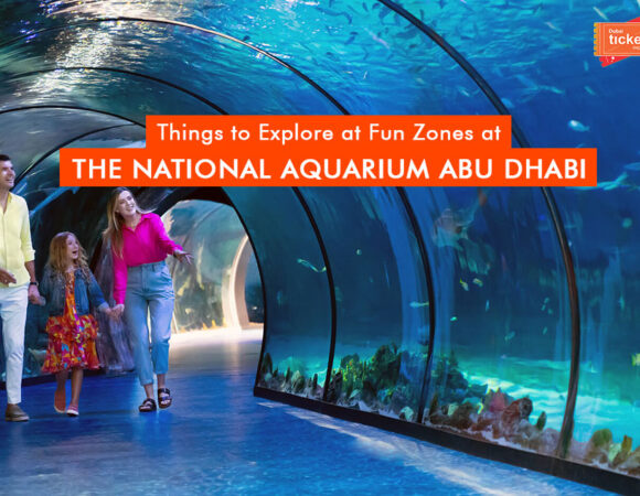 Top Things to Explore at National Aquarium Abu Dhabi