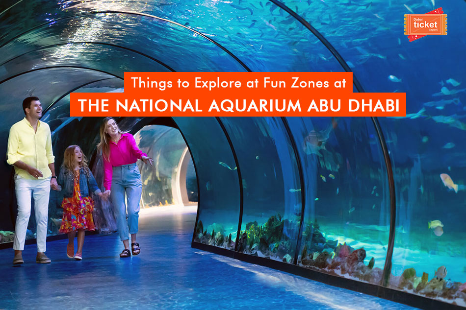 Top Things to Explore at National Aquarium Abu Dhabi