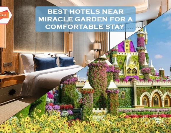Best Hotels Near Miracle Garden to Stay