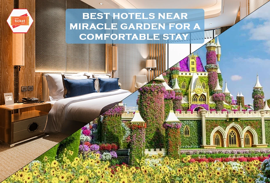Best Hotels Near Miracle Garden to Stay