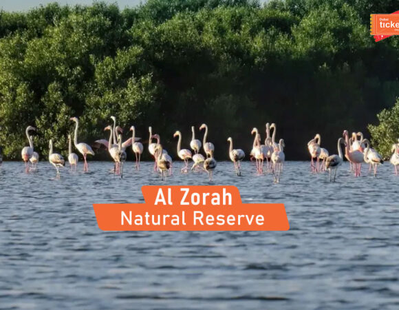 Al Zorah Natural Reserve