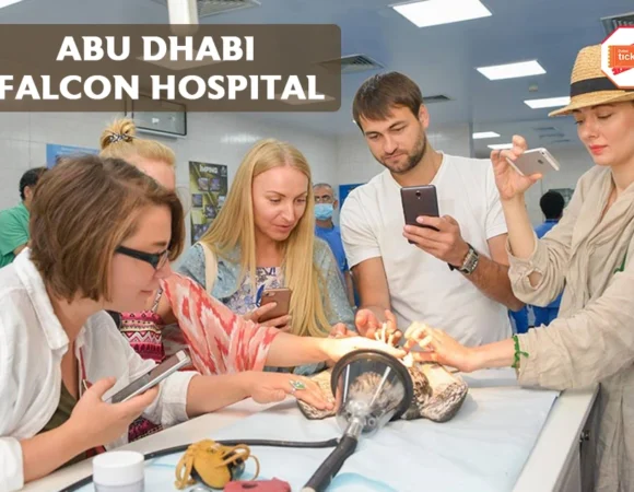 Abu Dhabi Falcon Hospital