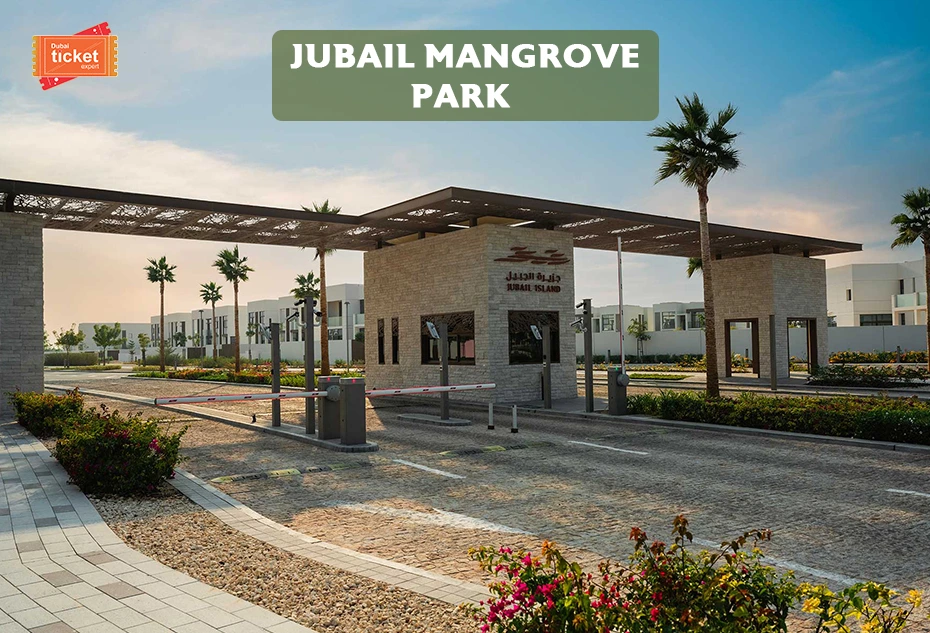 Guide to Jubail Mangrove Park: Ticket, Timing & Things to Do