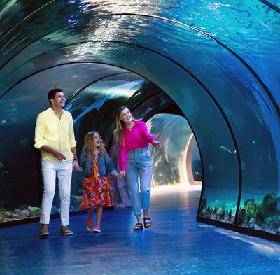 The National Abu Dhabi Aquarium