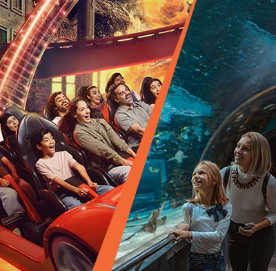 Warner Bros and National Aquarium Abu Dhabi Combo Tickets