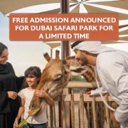 Free Admission Announced for Dubai Safari Park for a Limited Time