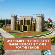 Last Chance to Visit Miracle Garden Before It Closes for the Season
