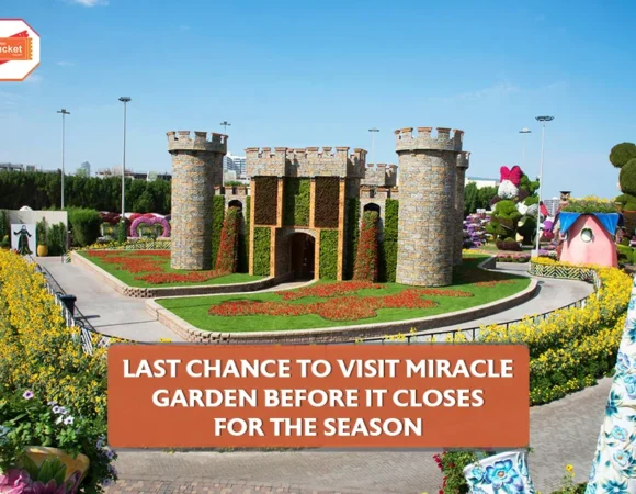 Last Chance to Visit Miracle Garden Before It Closes for the Season