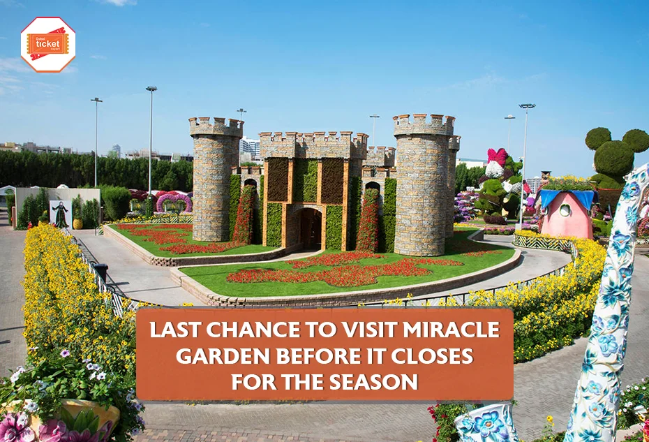Last Chance to Visit Miracle Garden Before It Closes for the Season