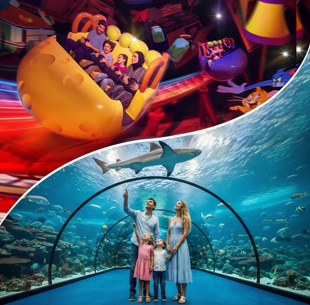 Warner Bros and National Aquarium Abu Dhabi Combo Tickets
