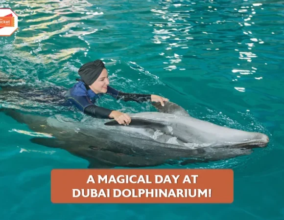 A Magical Day at Dubai Dolphinarium!