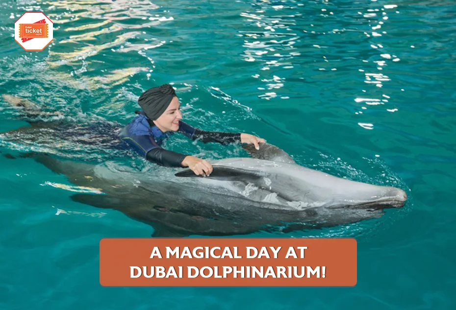 A Magical Day at Dubai Dolphinarium!