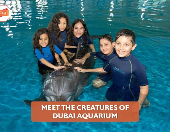 Meet the Creatures of Dubai Aquarium