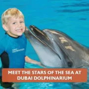 Stars of the Sea at Dubai Dolphinarium