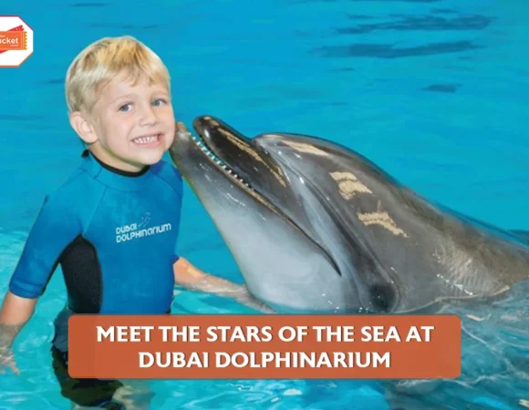 Meet the Stars of the Sea at Dubai Dolphinarium