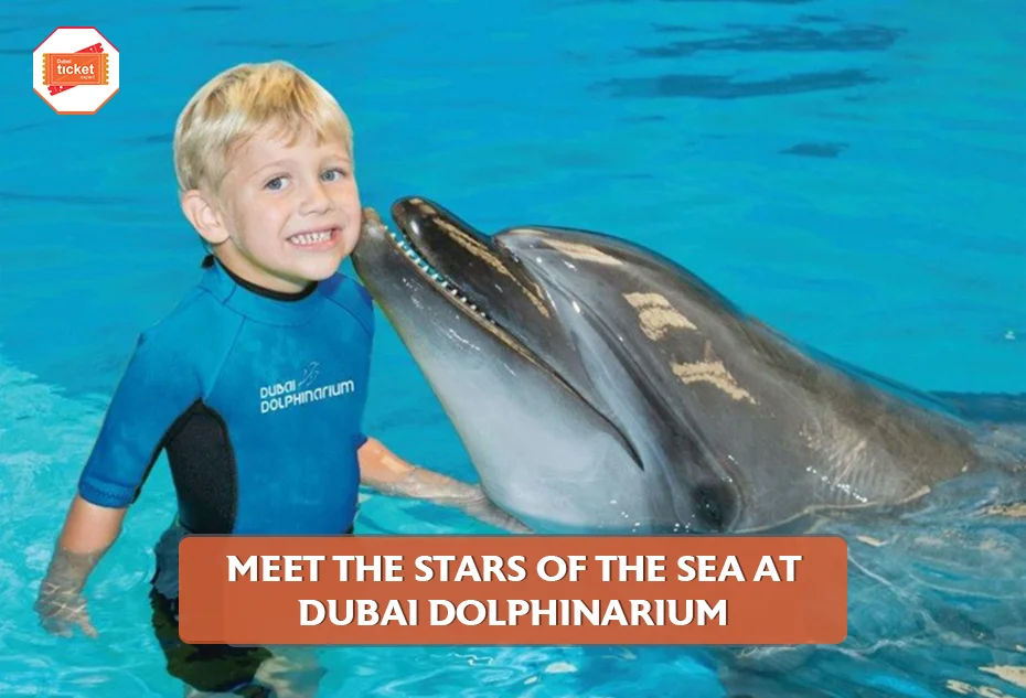 Meet the Stars of the Sea at Dubai Dolphinarium