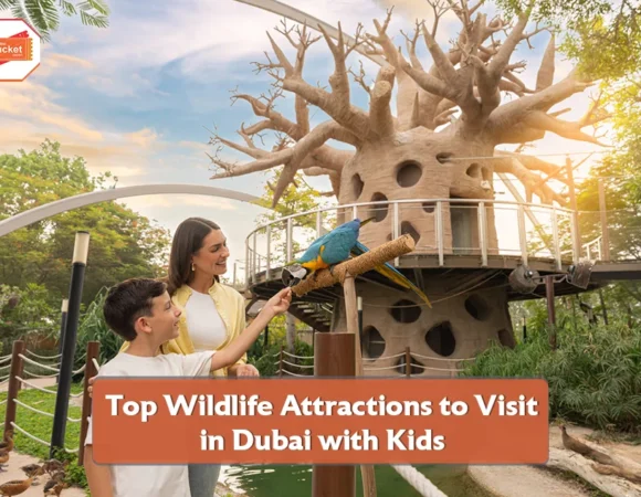 Top Wildlife Attractions to Visit in Dubai with Kids