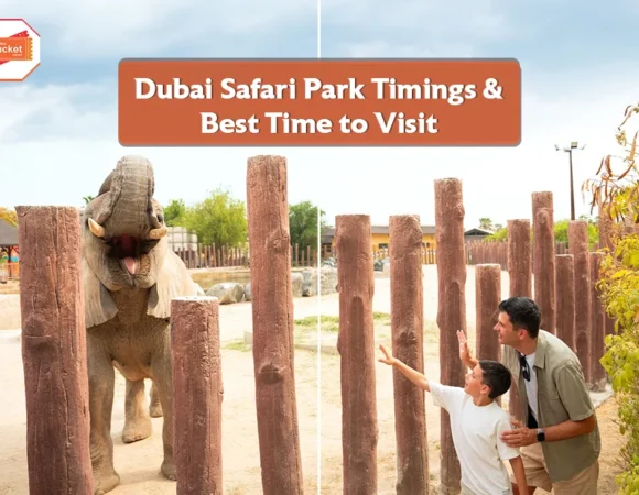 Dubai Safari Park Timings- Total Duration & Best Time to Visit
