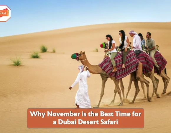 Why November is the Best Time for a Dubai Desert Safari