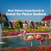 Best Nature Experiences in Dubai for Peace Seekers