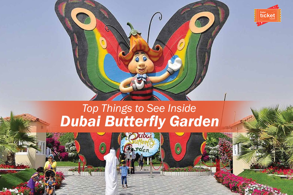 Top Things to See Inside Dubai Butterfly Garden