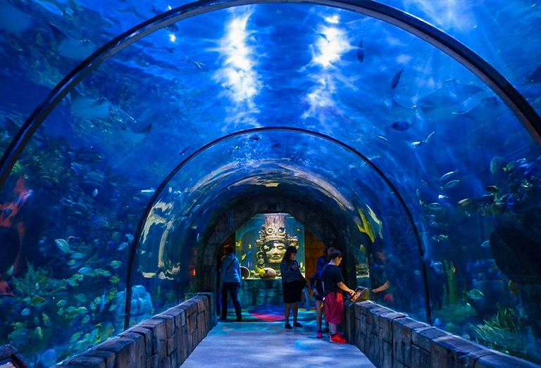 dubai aquarium & underwater zoo
