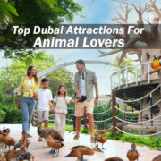 Top Dubai Attractions For Animal Lovers